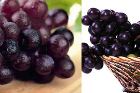 葡萄是热性还是凉性水果，全面了解它的营养和功效